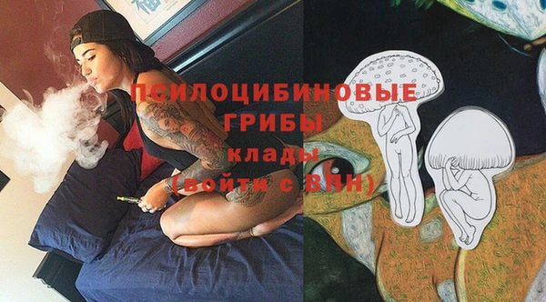 Альфа ПВП Протвино