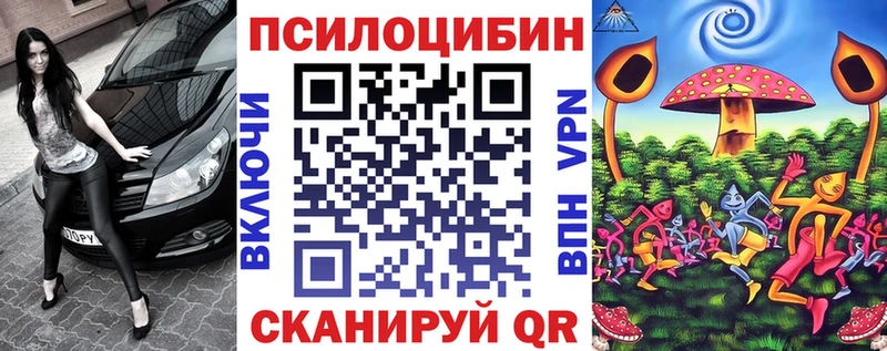 Галлюциногенные грибы Psilocybine cubensis  Саранск 