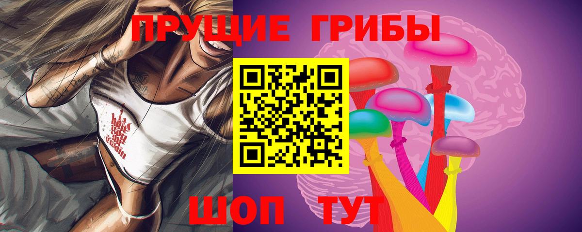 Саранск  Псилоцибиновые грибы MAGIC MUSHROOMS  Галлюциногенные грибы Psilocybine cubensis  Вход с VPN 